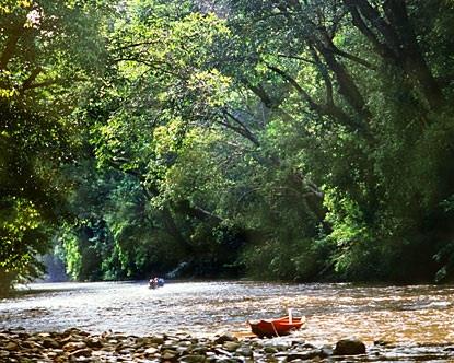 Taman Negara (Kuala Tahan) Malaysia