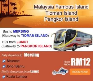 S&S International Express coach to Mersing