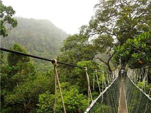 Taman Negara Bus Guide