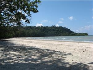 Tanjung Leman