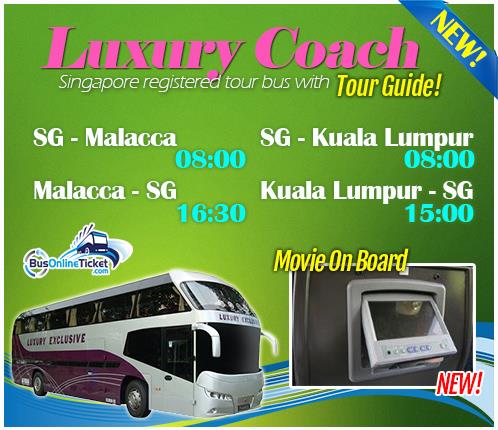 Luxury bus