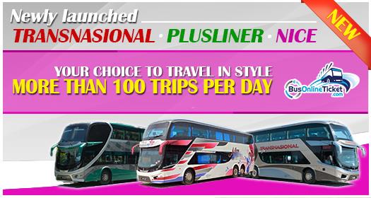 Transnasional Plusliner Nice Buses