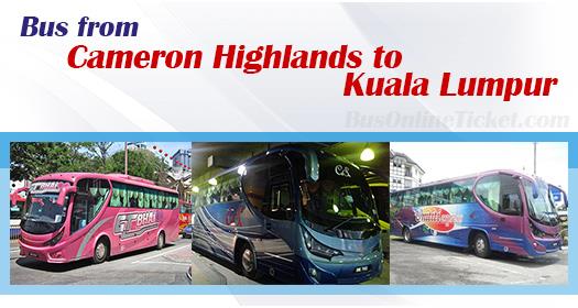 Bus from Cameron Highlands to Kuala Lumpur