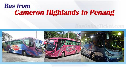 Bus from Cameron Highlands to Penang