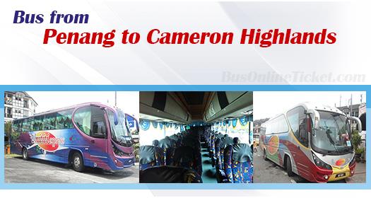 Bus from Penang to Cameron Highlands