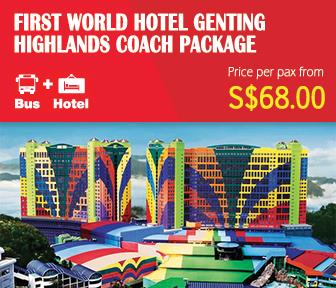 First World Hotel Coach Package