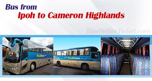 Ipoh to Cameron Highlands bus tickets from RM 18.50 ...