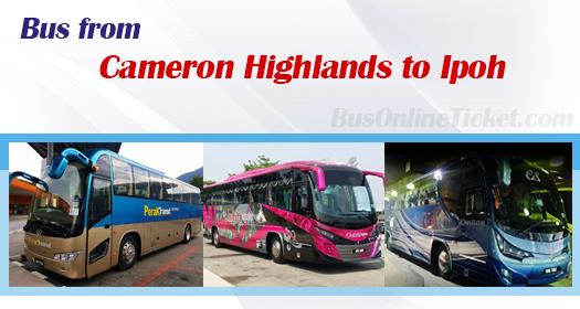 Bus service from Cameron Highlands to Ipoh