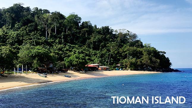 Tioman Island from Singapore Guide