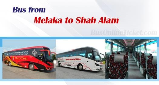 Bus from Malacca to Shah Alam
