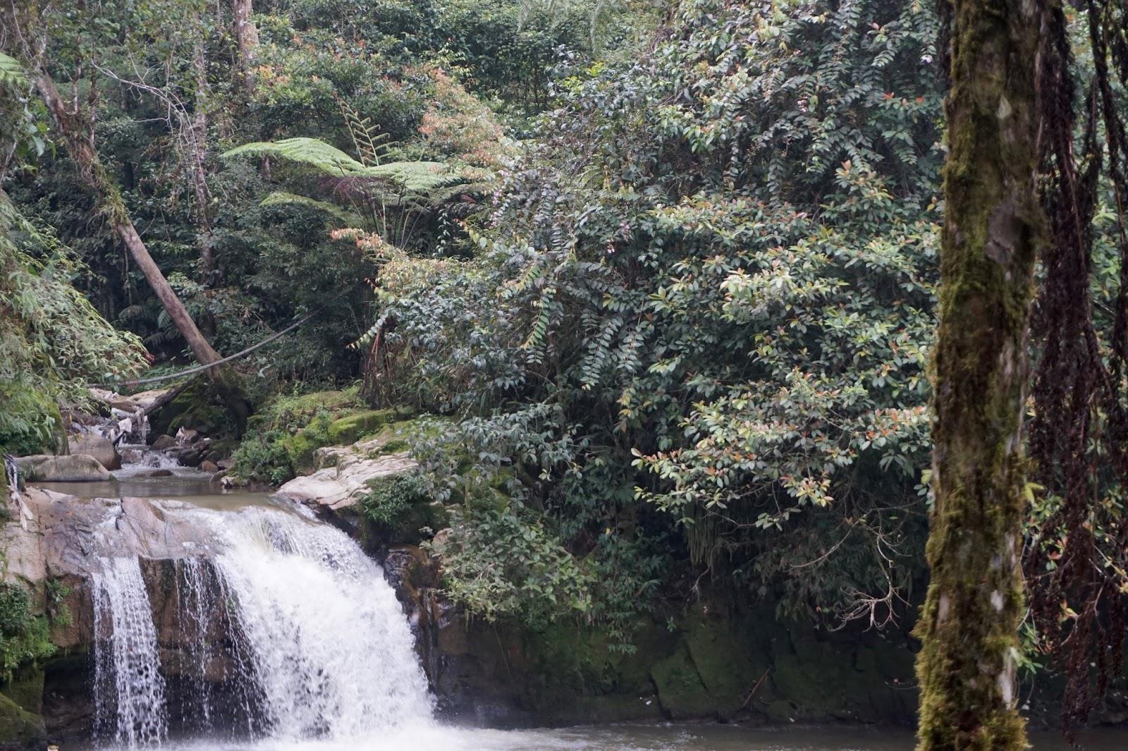 Cameron Highlands Waterfall