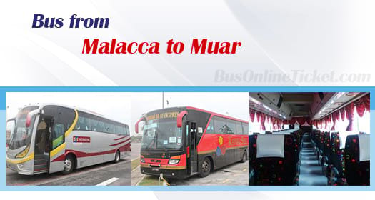 Bus from Malacca to Muar