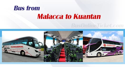 Bus from Malacca to Kuantan