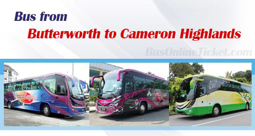 Bus from Butterworth to Cameron Highlands