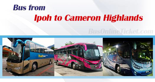 Bus from Ipoh to Cameron Highlands