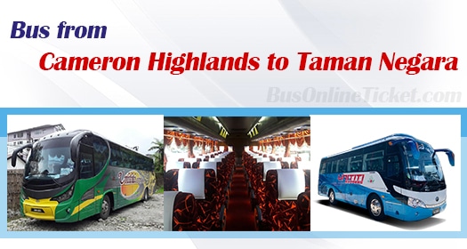 Bus from Cameron Highlands to Taman Negara