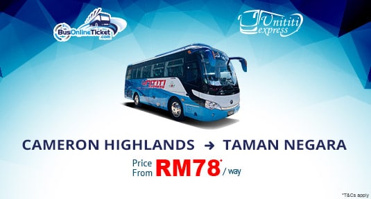 Unititi Express Offers Bus Service from Cameron Highlands to Taman Negara